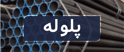 ماجرای خودکشی سهامدار زیاندیده در مجمع شرکت «پلوله» + ویدیو