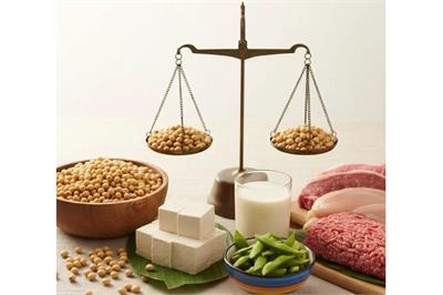 سویا: جایگزین اقتصادی و قدرتمند گوشت! چرا پروتئین سویا باید بخش ثابت رژیم غذایی شما باشد؟