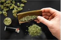 ۵۲درصد مصرف‌کنندگان ماریجوانا ۱۵ تا ۲۹ ساله هستند