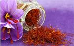 اسپانیا؛ بزرگترین صادرکننده مجدد زعفران ایرانی