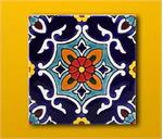 ببین شرافت میخانه مرا ای شیخ!