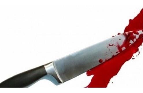 انگیزه قتل؛ سوءظن به خیانت؛ پدر خانواده نیز در این جنایت زخمی شد جنایت هولناک در جنت‌آباد: پسر ۱۹ ساله مادرش را با ۸۰ ضربه