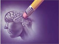 چرا آلزایمر می گیریم؟