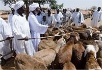 ماجرای ​ممنوعیت قربانی حجاج و جایگزینی با کاشت درخت!