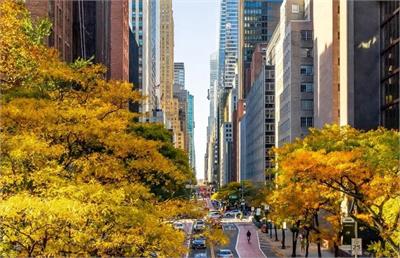 شهر اول میلیاردرهای جهان در ۲۰۲۵