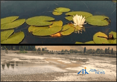 خشکی کامل دریاچه نیلوفر؛ فاجعه زیست‌محیطی در کرمانشاه