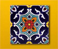 ببین شرافت میخانه مرا ای شیخ!