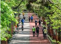 تعطیلی باشگاه انقلاب تهران