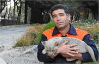 افشای روایت جدید درباره جوانی که نگهبان شیرها بود+ویدیو