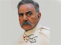 چرا «شکارگاه» یک انقلاب در سریال‌سازی ایرانی است؟