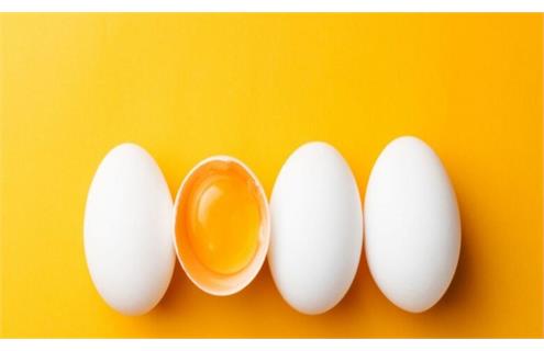 رئیس کارگروه طیور ایران: ۶۰ درصد مرغداران توان جوجه‌ریزی ندارند / ۳۰ درصد واحدهای تخم‌گذار جمع شدند مرغ ارزان شد، اما