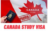 شرایط سنی ویزای تحصیلی کانادا ۲۰۲۴