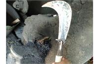 روایت تکان دهنده «شاهدان محلی» از دلیل حمله رییس بنیاد شهید کلاردشت به زن تورگردان!