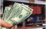 چرا بازار ارز «کاذب» شد؟/بورس؛ «بهترین» محل سرمایه گذاری؟!