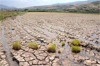 بررسی گسترش بحران کم‌آبی در استان گیلان