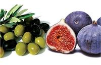 ماجرای «اکسیر جوانی» از انجیر و زیتون