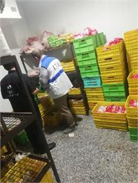 هزار و 481 مورد بازرسی بی وقفه دامپزشکی در طرح تشدید نظارت بهداشتی و شرعی ویژه ماه مبارک رمضان و نوروز 1404