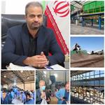 یزد؛ پیشرو در بازیافت، تولید کود آلی و ساماندهی زیست‌محیطی / از تبدیل زباله به طلای سبز تا نگهداری ۶۰۰ سگ ولگرد