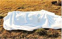 خبر کشف ۳۴ جسد در سعادت‌آباد شایعه است