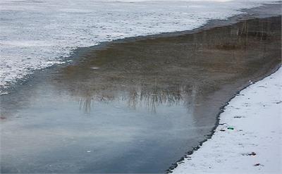 فداکاری روستایی مرندی؛ نجات جان روباه و سوسمار گرفتار در استخر یخ‌زده + ویدیو