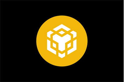 BNB Chain چیست؟ آشنایی با زنجیره BNB و توکن BNB