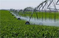 رهایی از بحران اقتصادی با توسعه پایدار کشاورزی