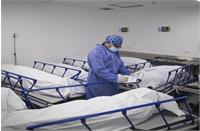 دانشمندان گفتند کرونای جهش یافته یک سوم مبتلایان را می کشد!