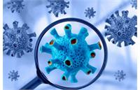 هشدار درباره شیوع سویه جدید کرونای تیغی در ایران