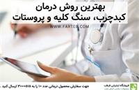 بهترین روش درمان کبد چرب ، پروستات و سنگ کلیه ( آپدیت ۱۴۰۲ )