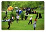 سیزده‌بدر در یزد؛ از اسطوره‌های ایران باستان تا آیین‌های زنده مردم کویر