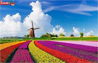 تجربه ای متفاوت در سفر به شادترین کشورها