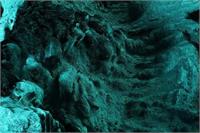 معرفی رنگ سال 2026