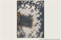 «هوای تهران» به شیراز رسید؛ راهنمای نمایشگاه حمیدرضا قیاسی