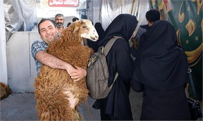 راه‌اندازی ۷ جایگاه عرضه دام زنده در تهران به مناسبت عید قربان