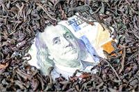 پروندۀ چای دبش؛ ۳ سال زندان برای وزیر سابق دولت رییسی