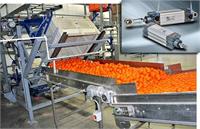 ضرورت «نوسازی» ماشین آلات صنایع غذایی در نبود اشتغالزایی