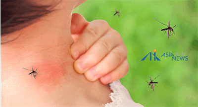 نیش و خارش؛ دردسرهای تابستانی و راه‌های پیشگیری آن