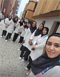 المپیک پاریس؛ مقایسه لباس فلسطین و ایران