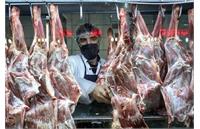 گوشت وارداتی ۳۰ درصد گران‌تر از قیمت تمام‌شده به دست مردم می‌رسد