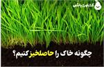 چگونه خاک را حاصلخیز کنیم؟ راهنمای جامع برای کشاورزان