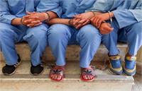 کلاهبرداری ۵۰ میلیاردی با نام نمایندگی بیمه