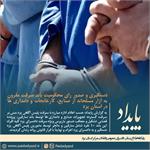 محکومیت باند سرقت مقرون به آزار مسلحانه از صنایع، کارخانجات و دامداری ها در یزد