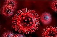 مردم باید یلدای امسال را نادیده بگیرند