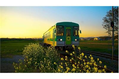 راهنمای کامل پیش‌فروش بلیط قطار در علی‌بابا