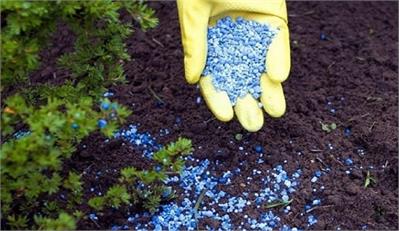 افزایش ۷۴ درصدی قیمت کود دولتی / عبور قیمت کود از مرز ۱.۴ میلیون تومان در آزاد