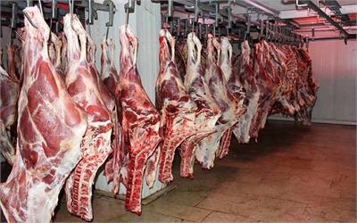 احتمال کاهش قیمت گوشت در هفته‌های آینده