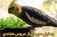 راهنمای خرید وسایل عروس هلندی