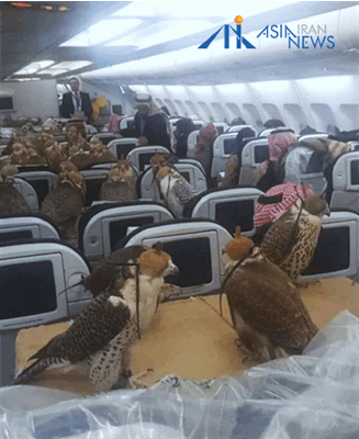 پرواز لوکس شاهین‌ها با کلاس تجاری!