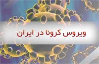 کرونا آنقدرها هم ترسناک نیست!