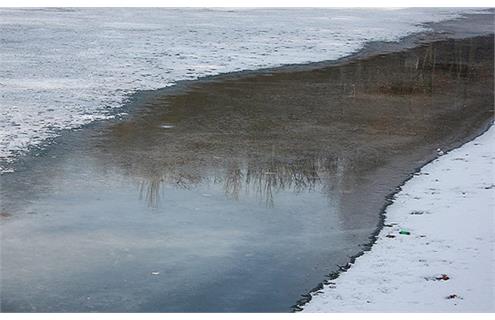 ناصر غلامی هوجقان فداکاری روستایی مرندی؛ نجات جان روباه و سوسمار گرفتار در استخر یخ‌زده + ویدیو